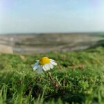 Lice Primary School (Diyarbakır, Lice, Körtük Mah.), primary school