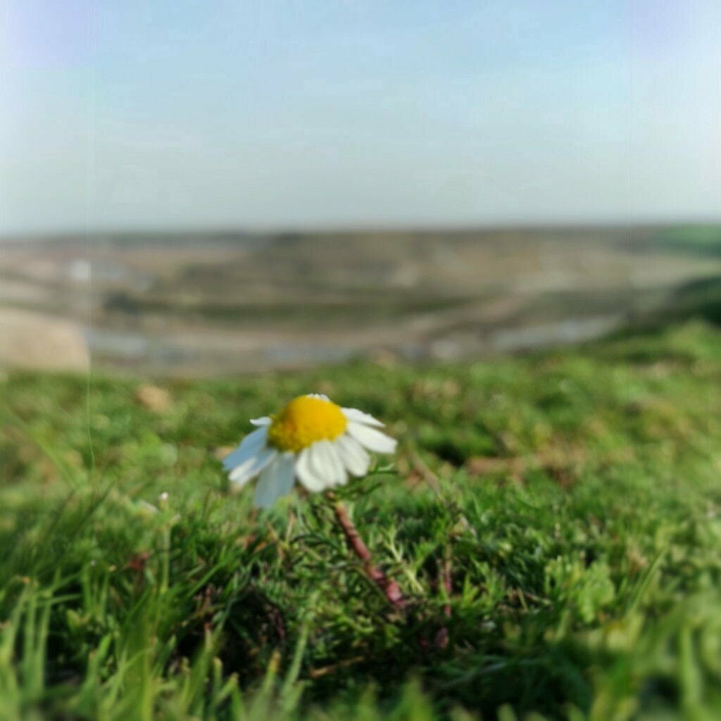 Primary school Lice Primary School, Lice, photo