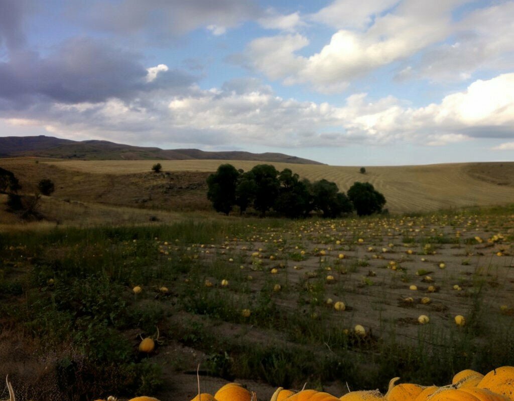 Primary school Incesu Primary School, Develi, photo