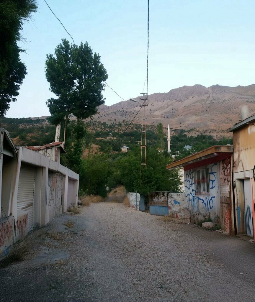 Primary school Pinarbasi Primary School, Sincik, photo
