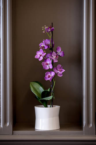 Фото Hotel Des Ducs