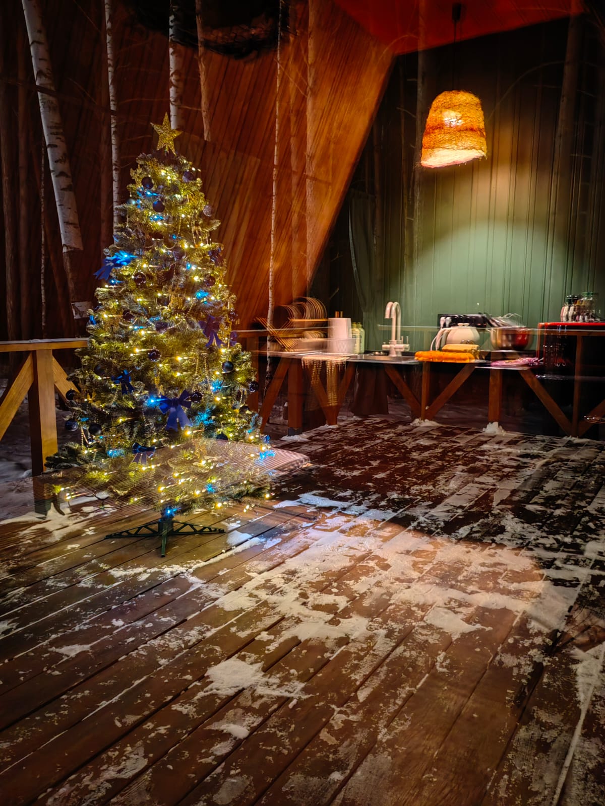 Фото Шелест Inn