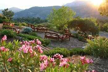 Фото Montana Pine Resort and SPA