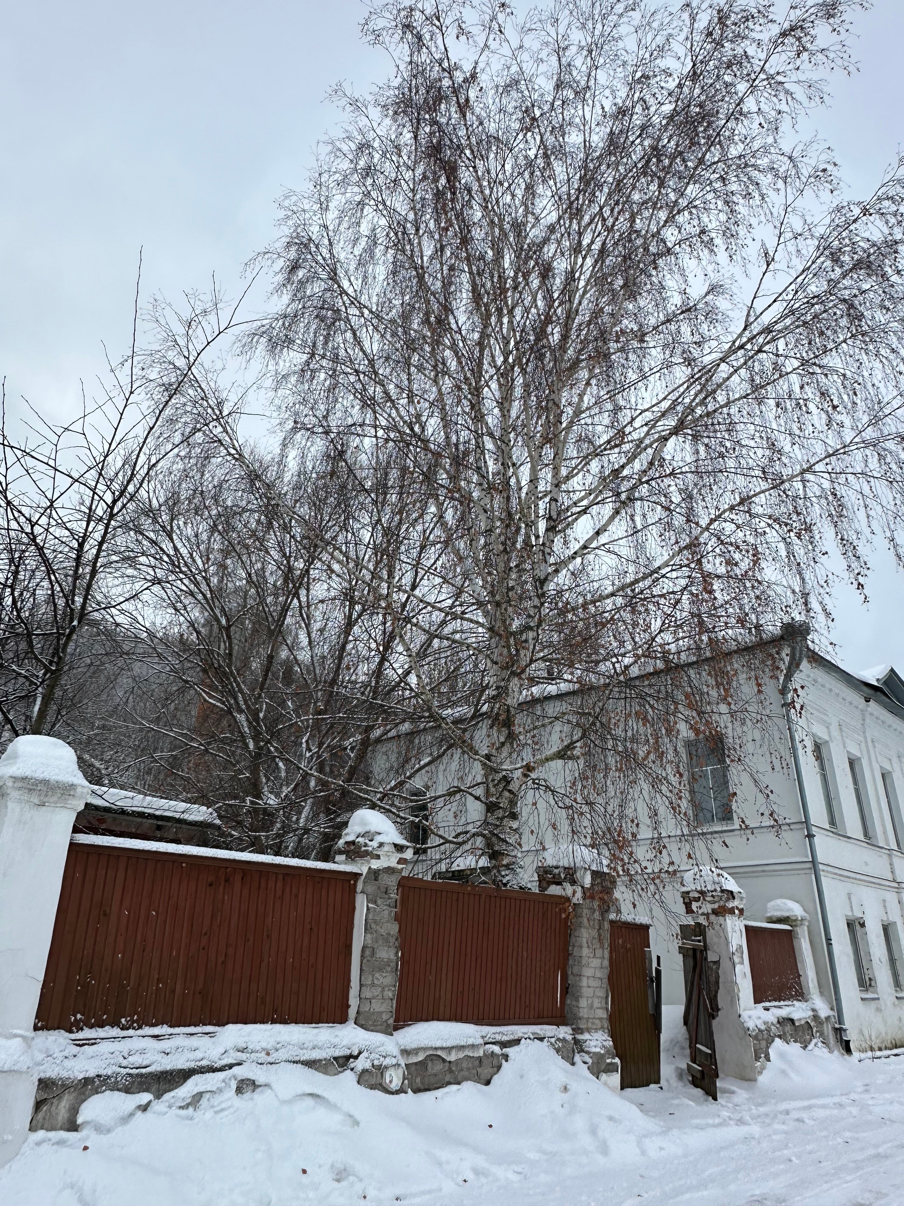Фото Апартаменты Семейные на набережной