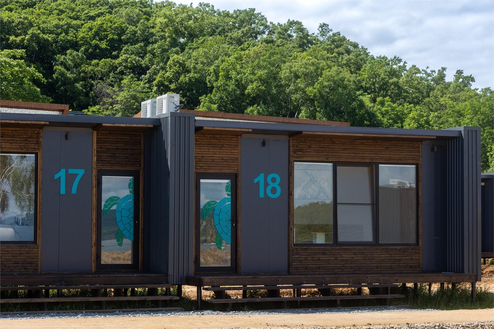 Фото Лазурная черепаха