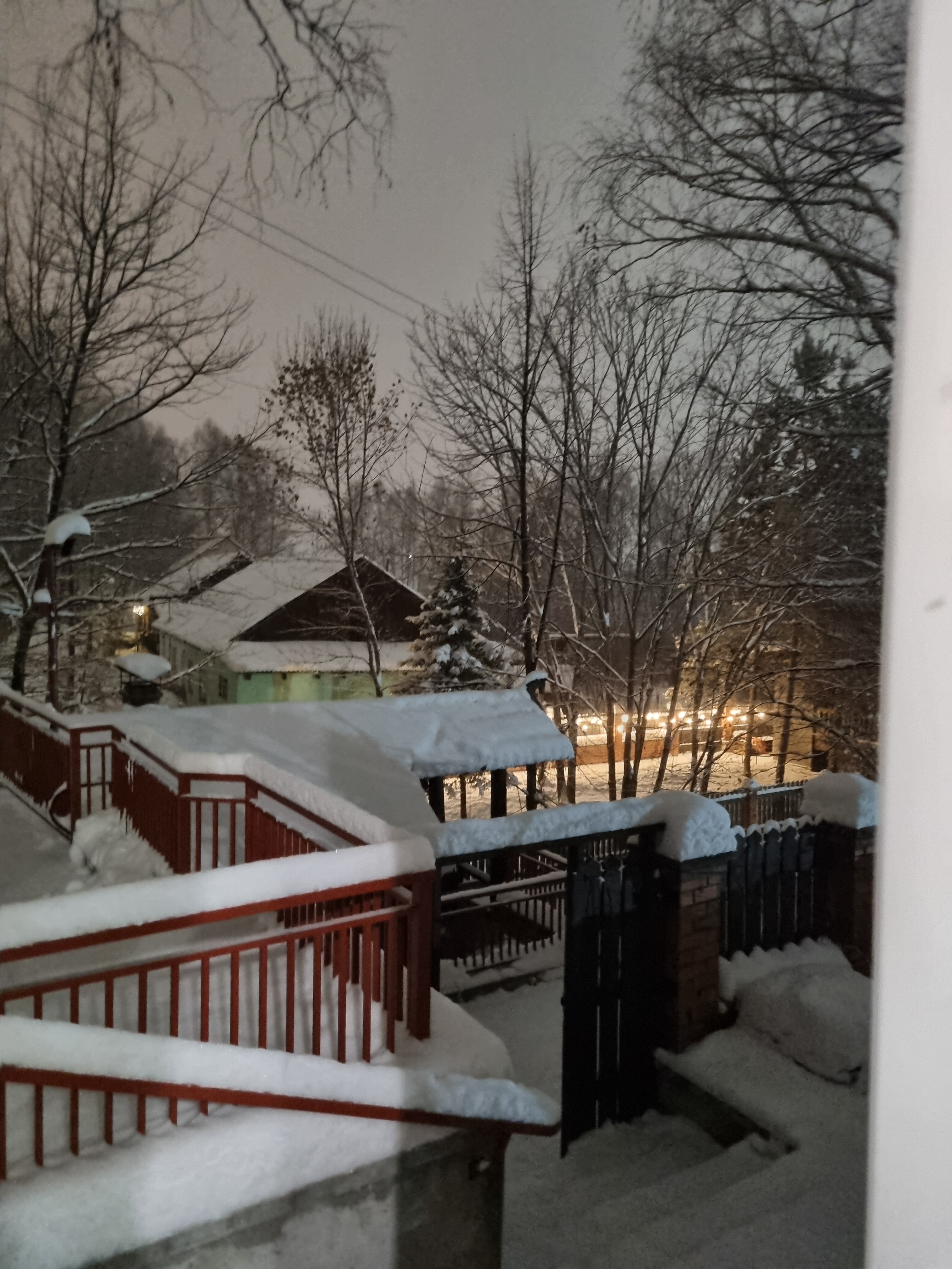 Фото Рыжий пёс