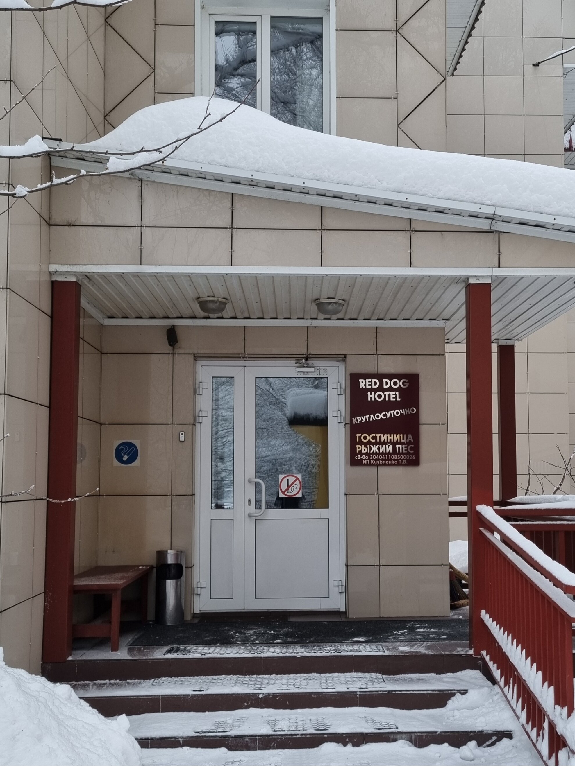 Фото Рыжий пёс