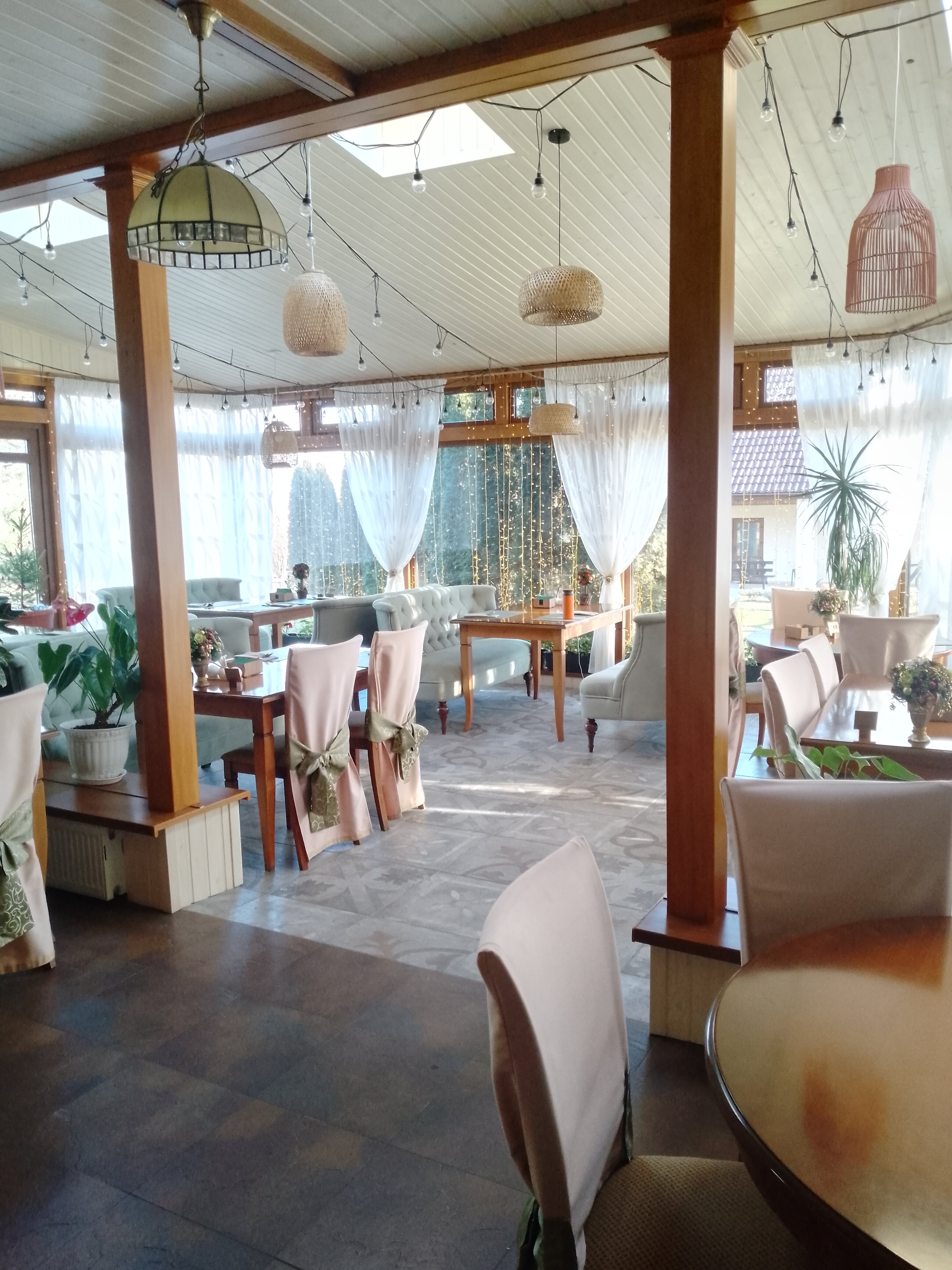 Фото Березки