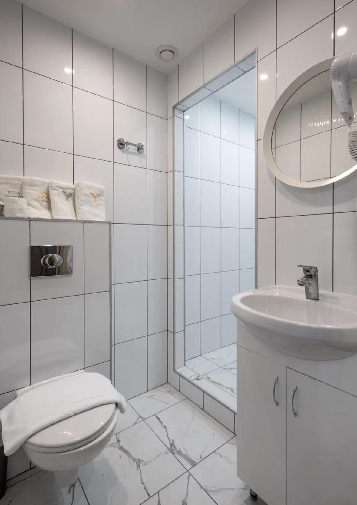 Фото Сова на Планерной