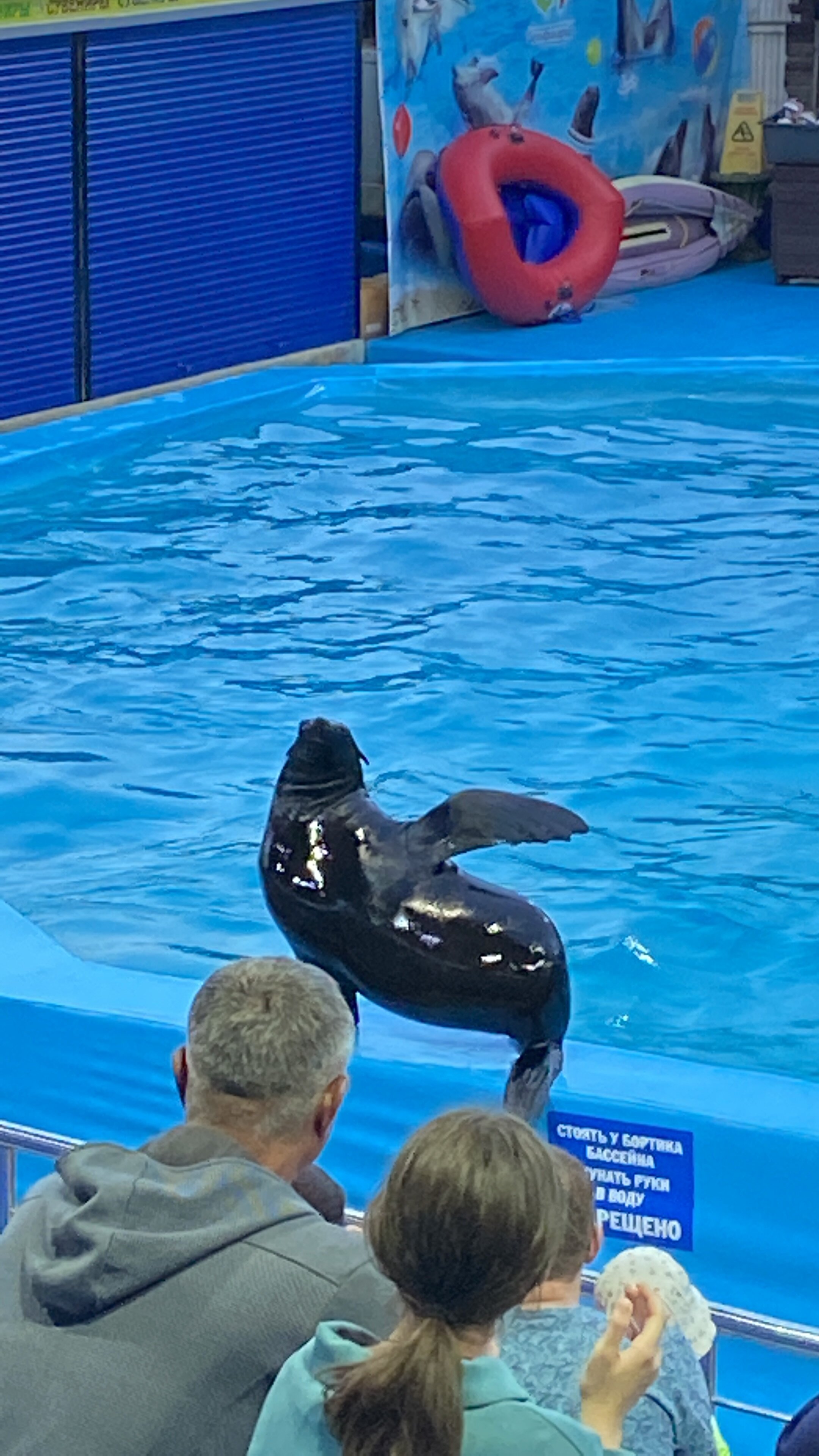 Фото Николь