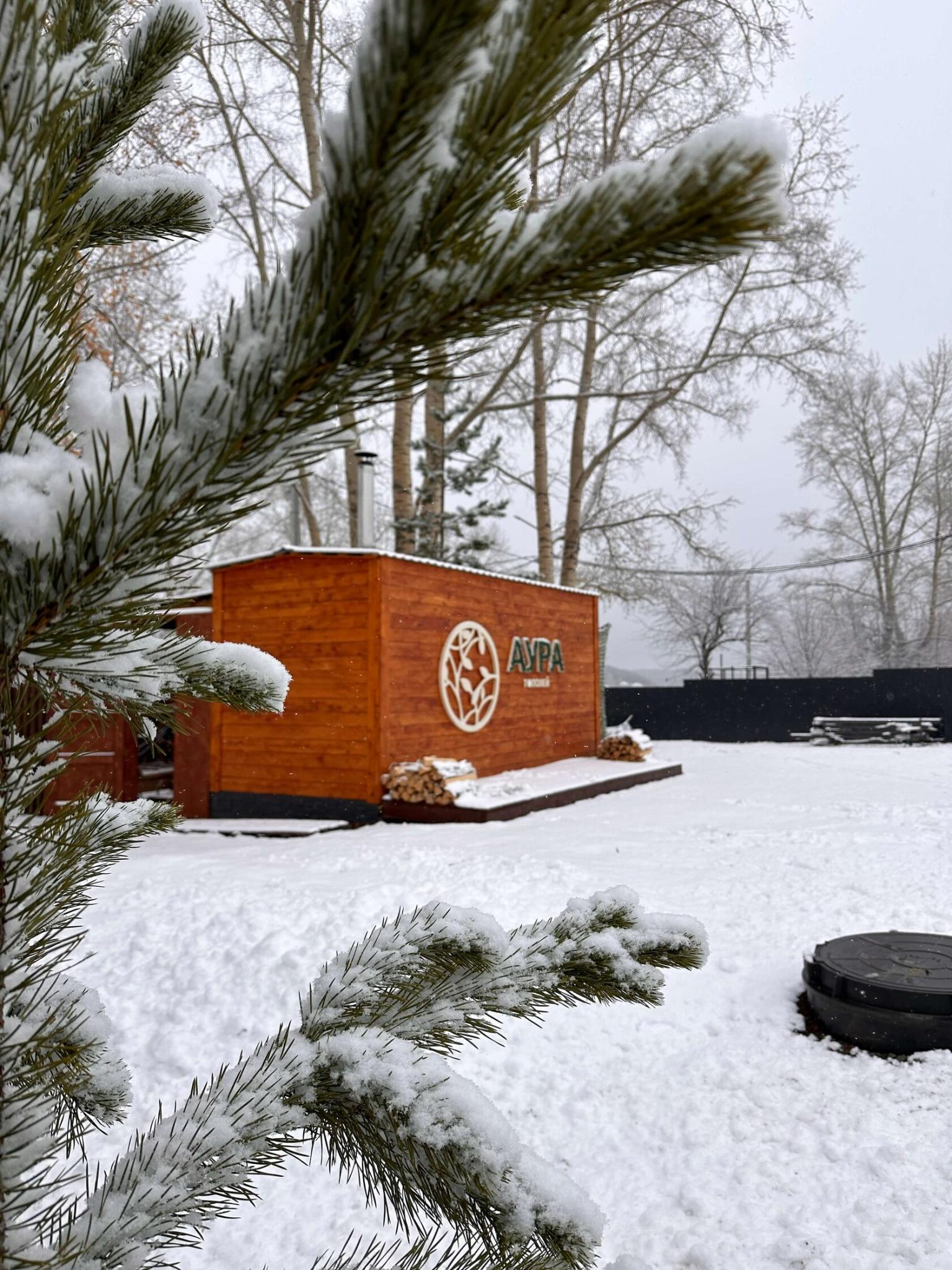 Фото Аура тополей