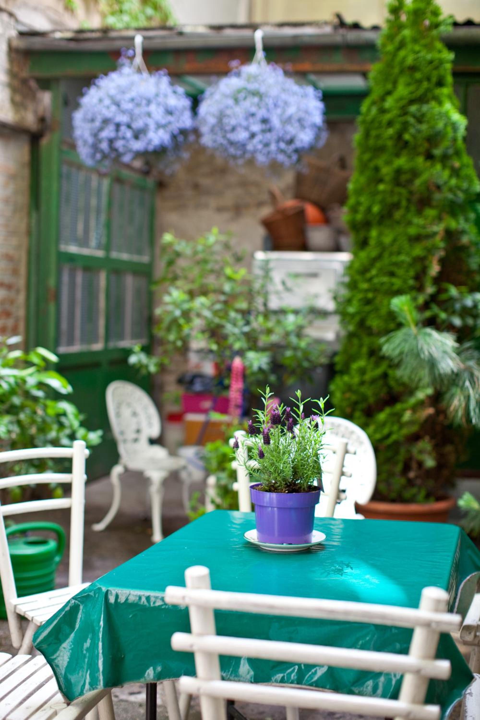 Фото Hotel Schwalbe