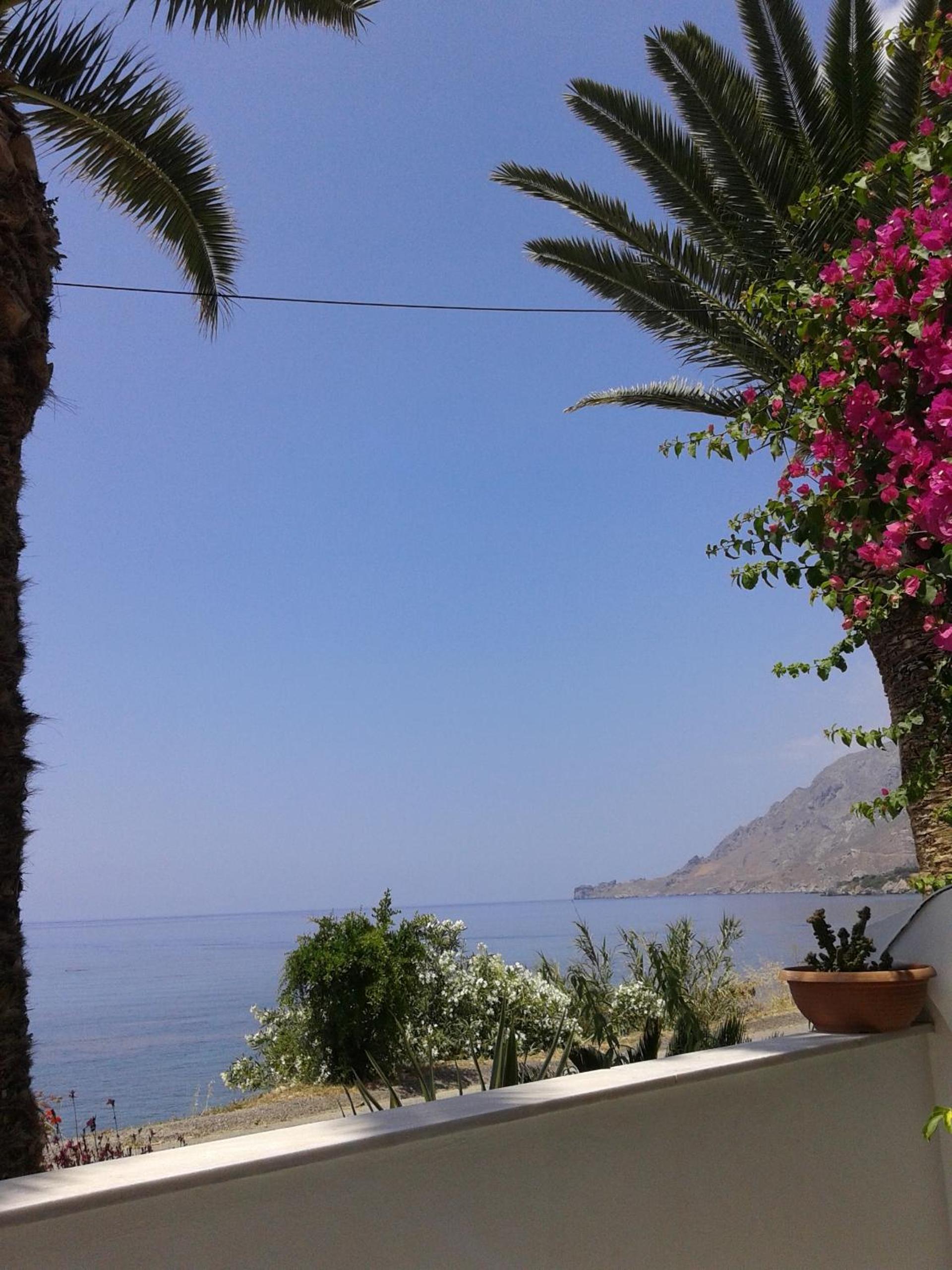 Фото Skinos Apartments and Studios