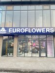 Euroflowers_jld (Pushkin Street, 40), flower shop