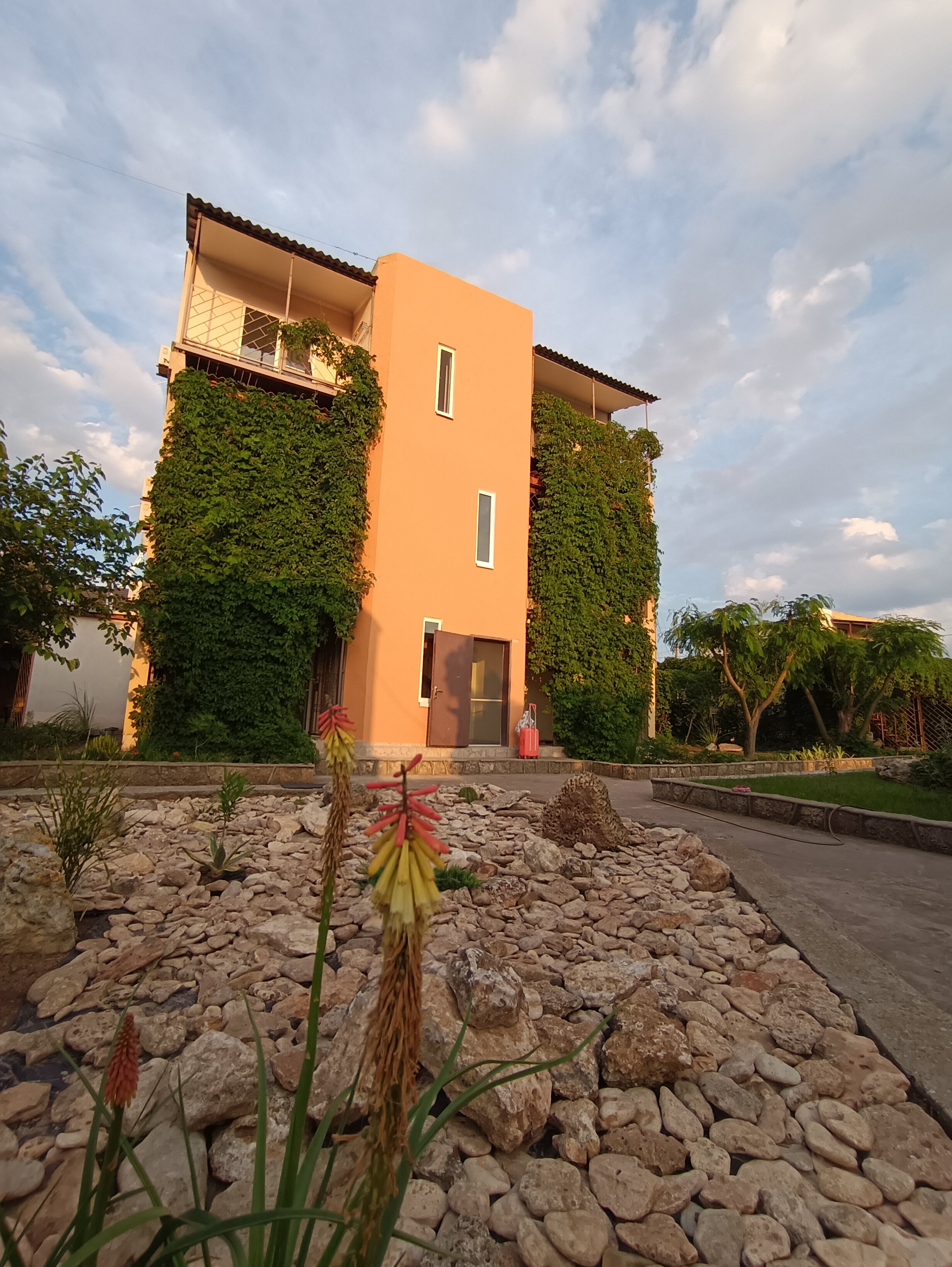 Фото Катран