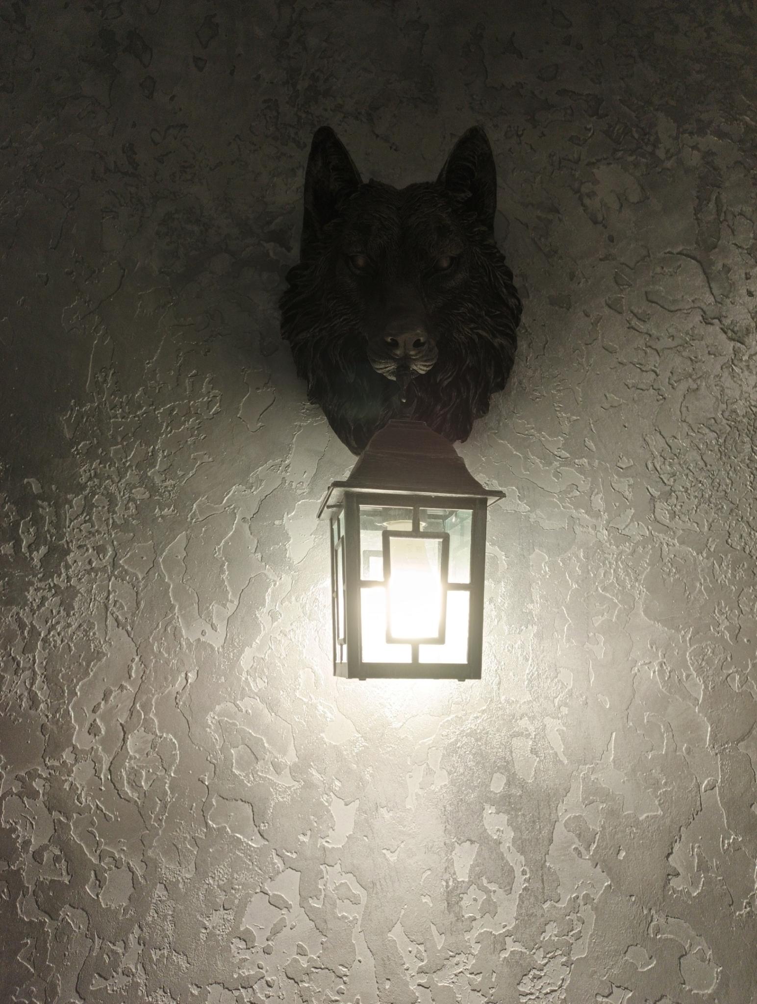 Фото Странники