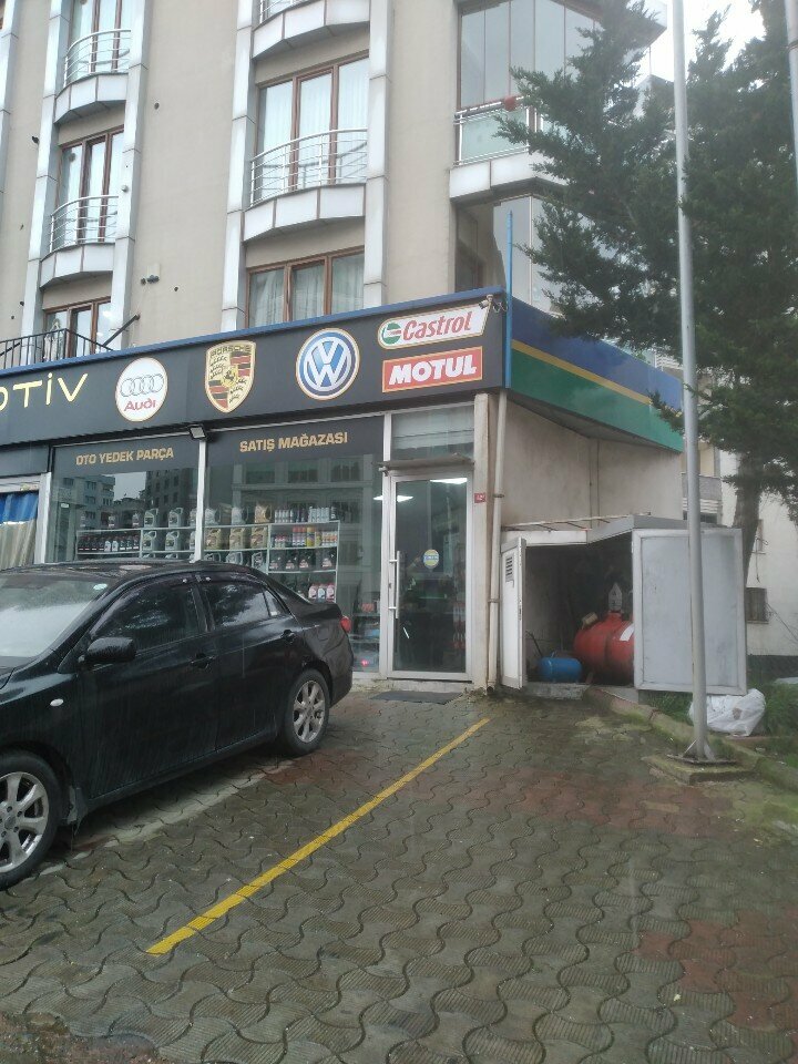 Car service, auto repair Michelin - Ali Arslan Otomotiv Euromaster, Istanbul, photo