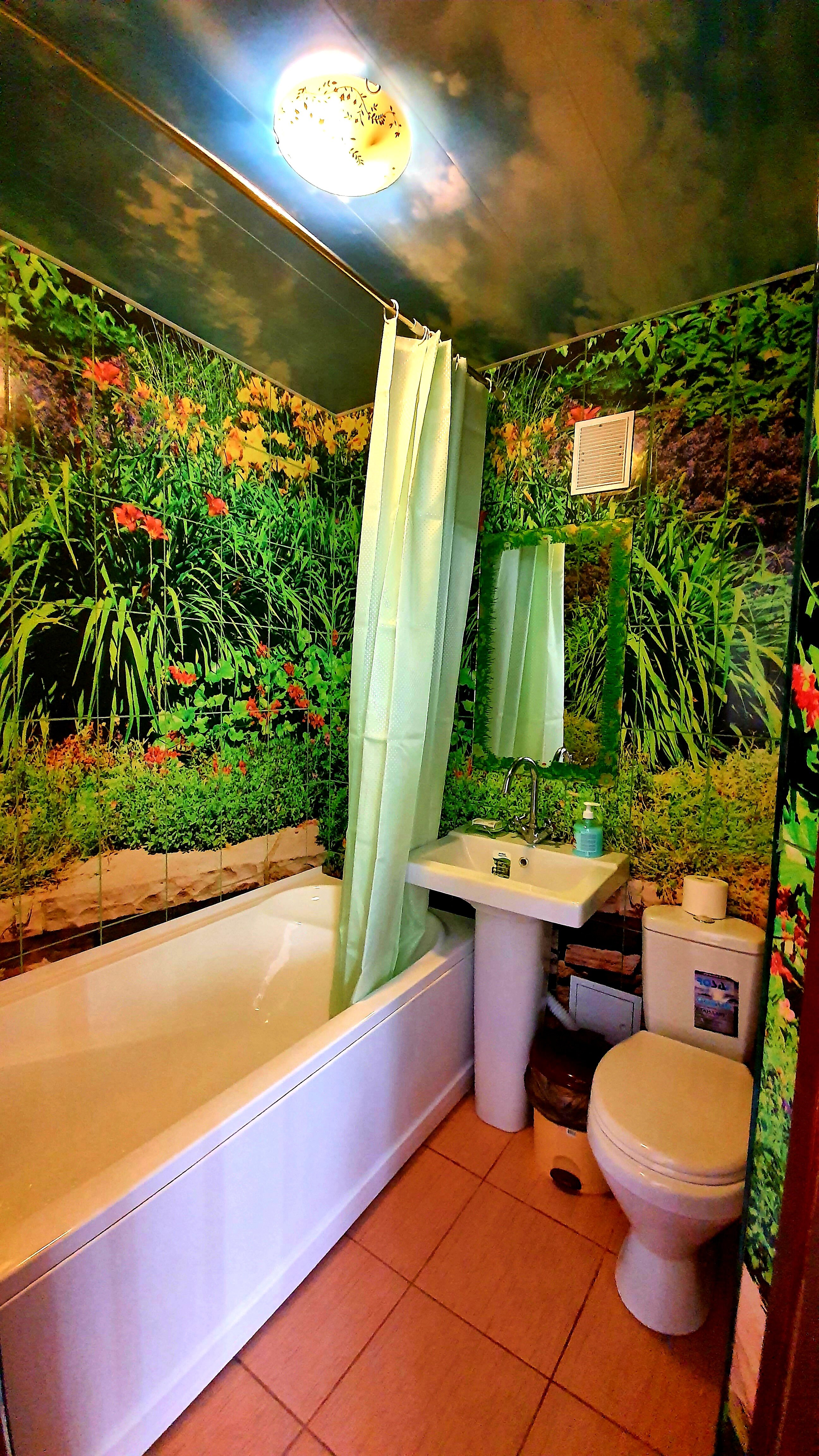 Фото Сакура