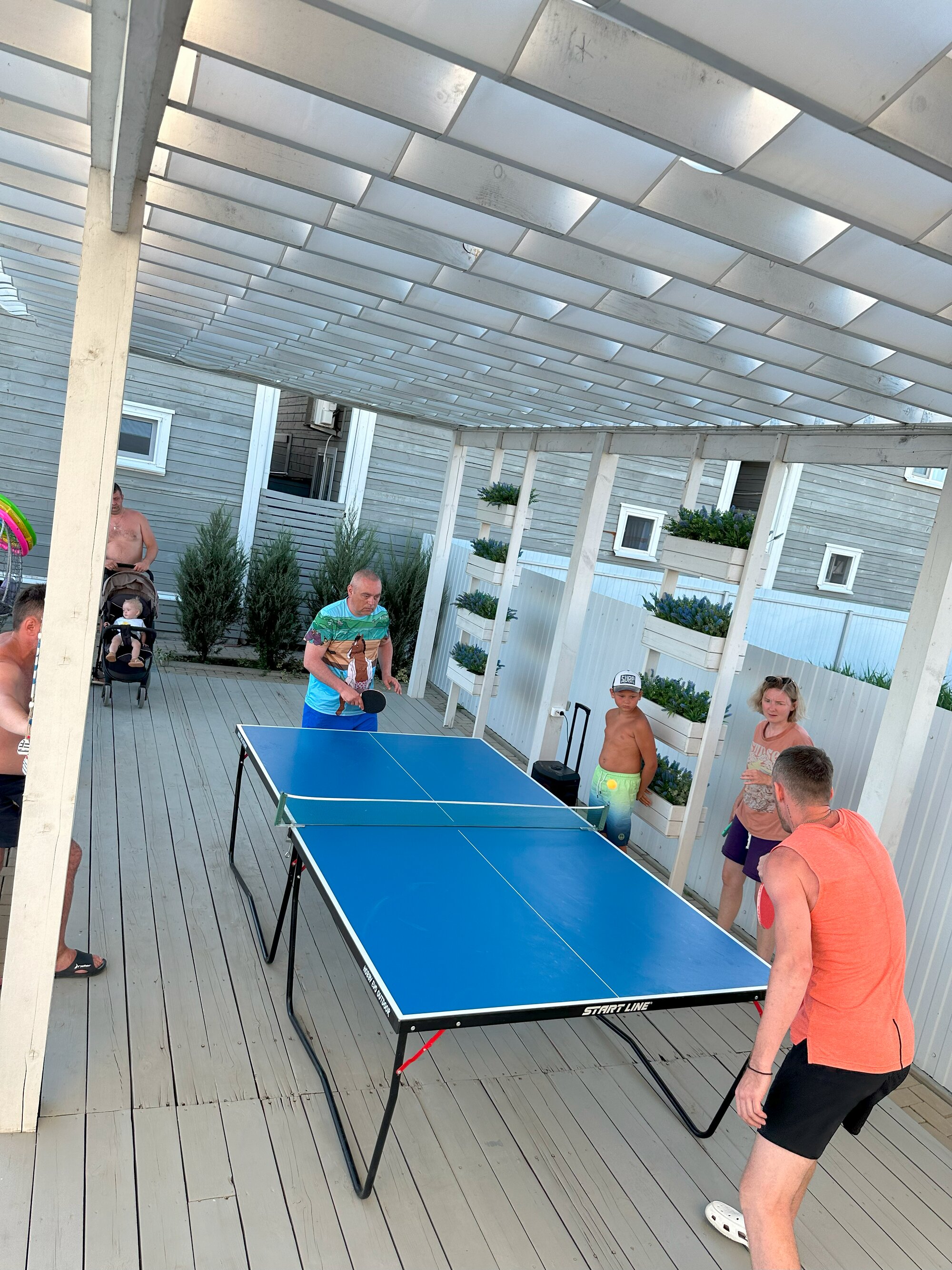 Фото Азовская чайка