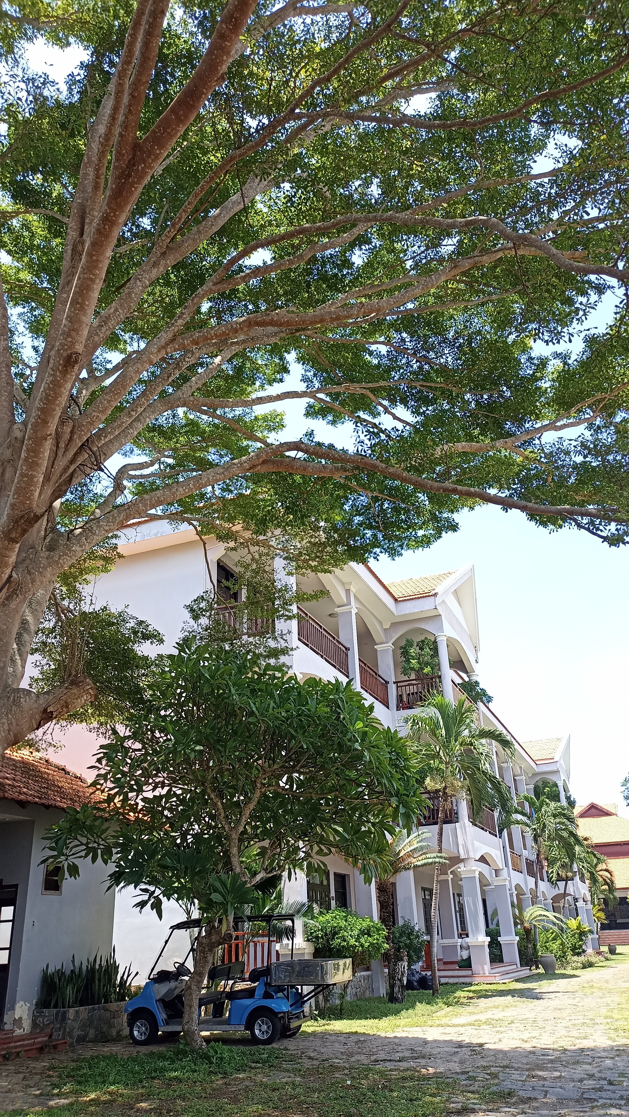 Фото MuiNe Century Beach Resort and SPA