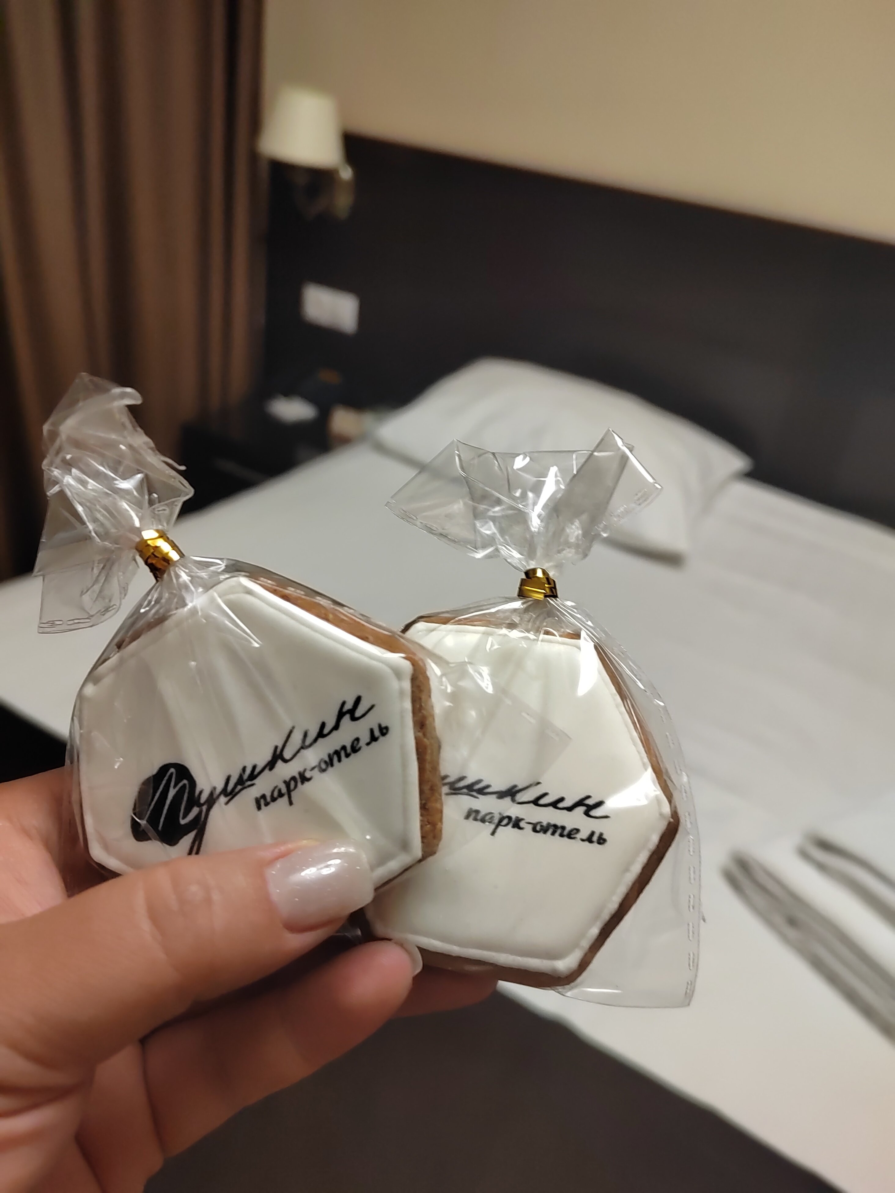 Фото Парк Отель Пушкин