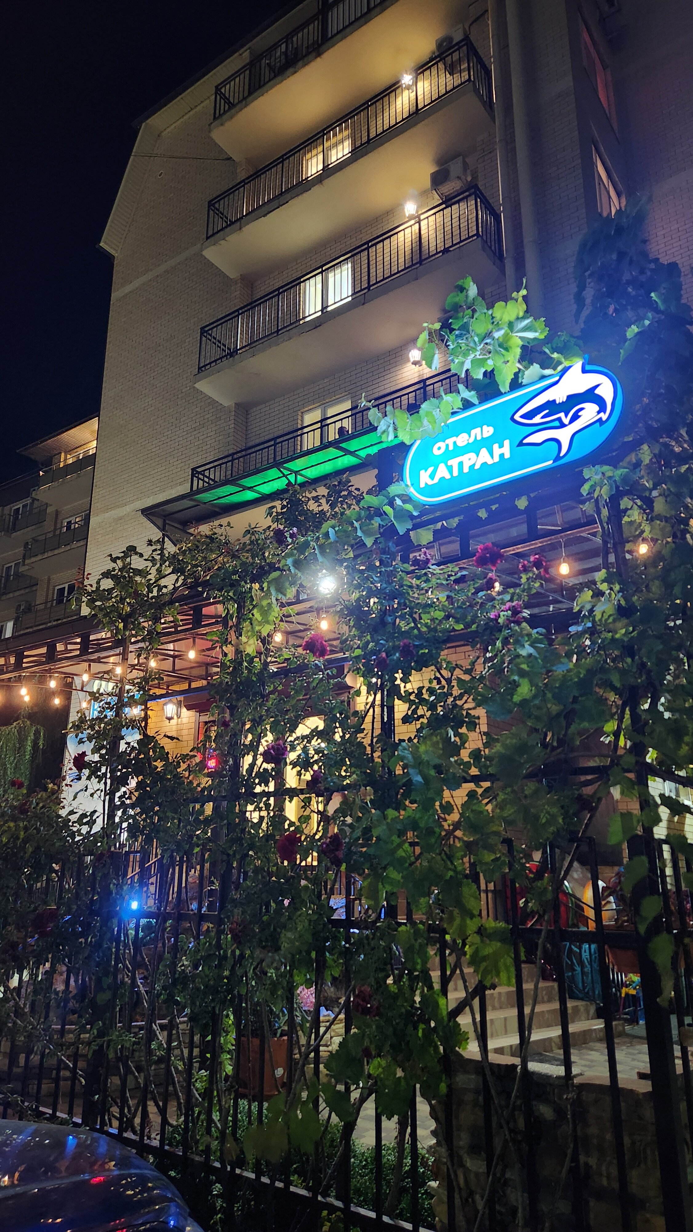 Фото Катран