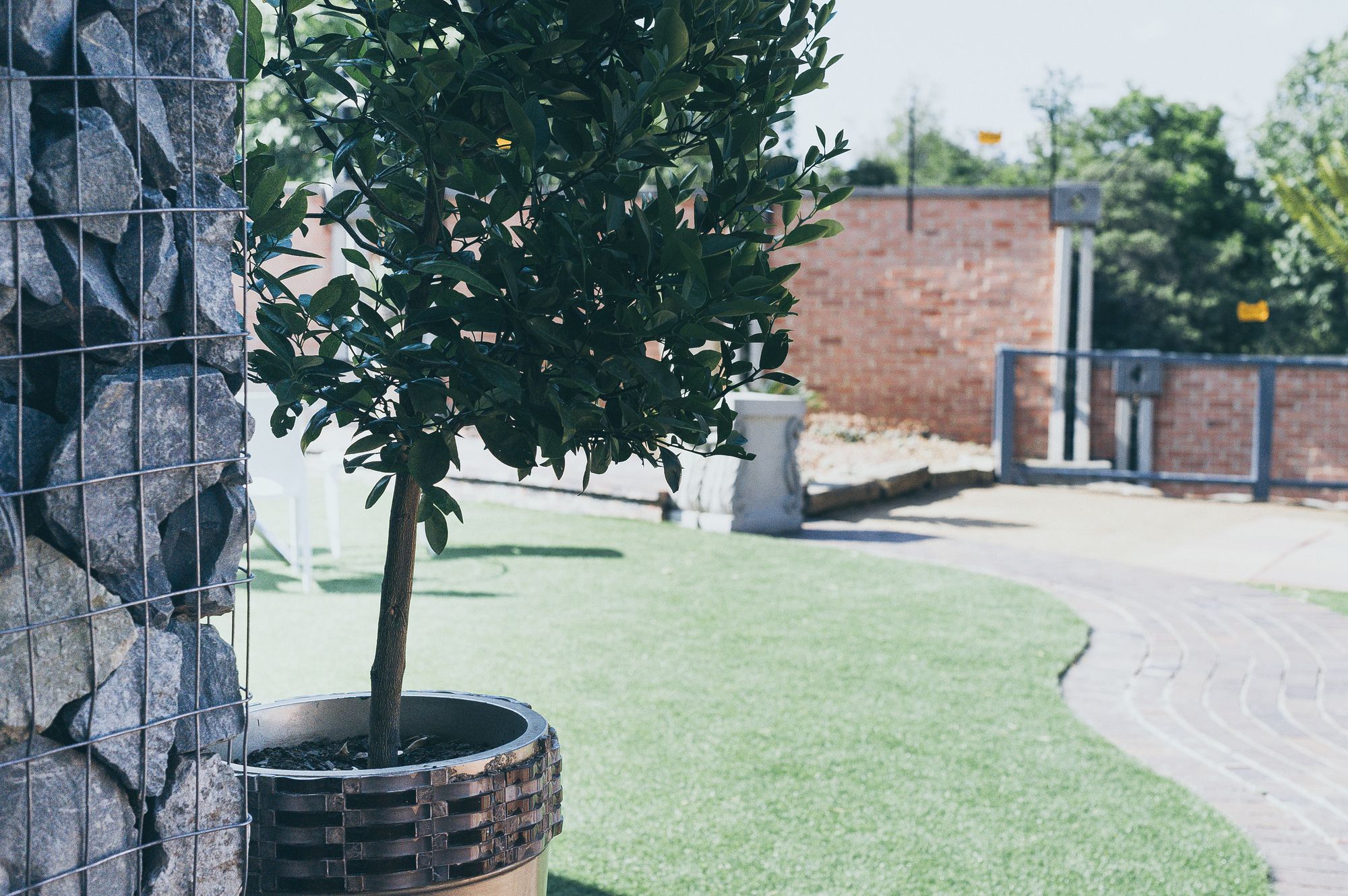 Фото B and B Sandton