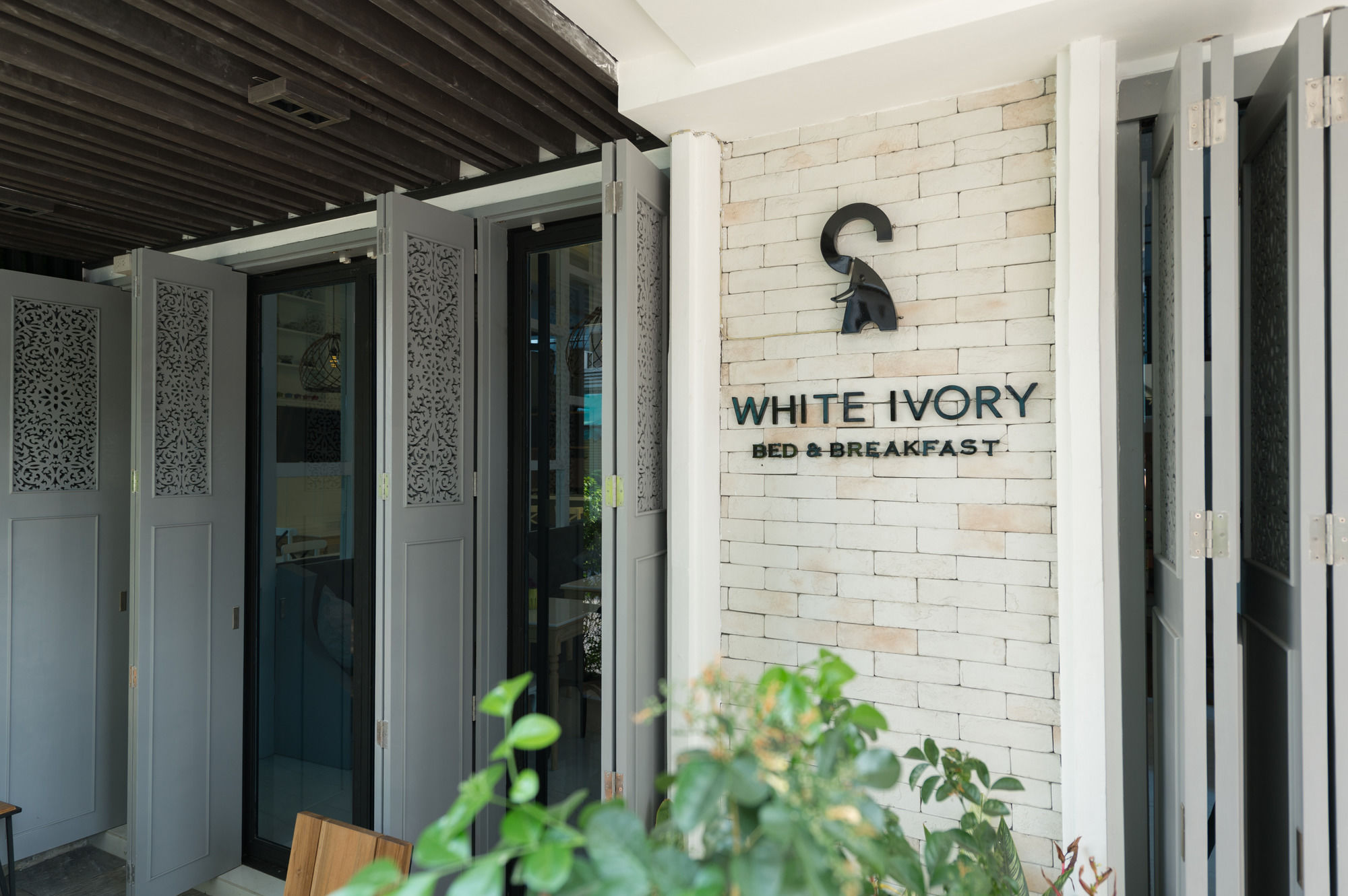 Фото White Ivory Bed & Breakfast