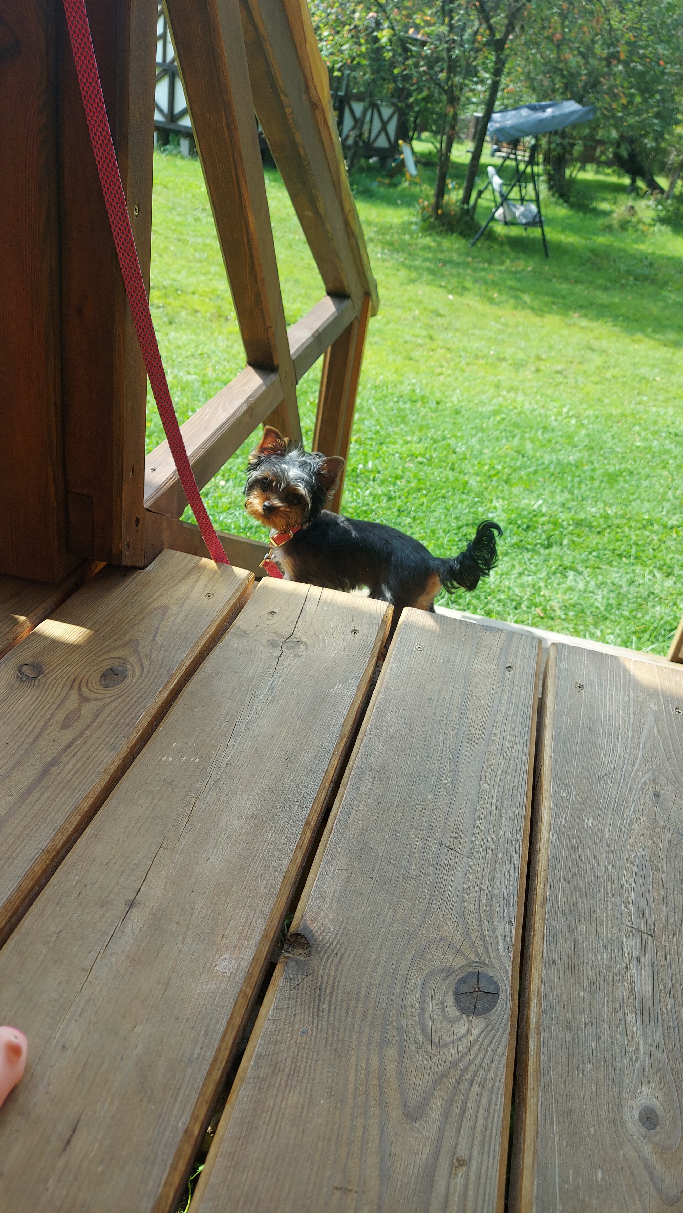 Фото Тихий Стан