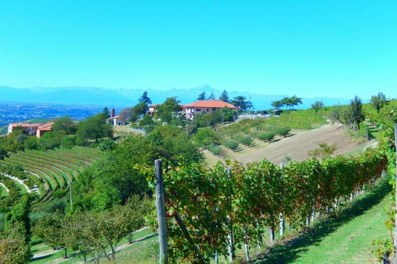 Фото Agriturismo Bevione Davide