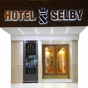Гостиница Hotel Selby