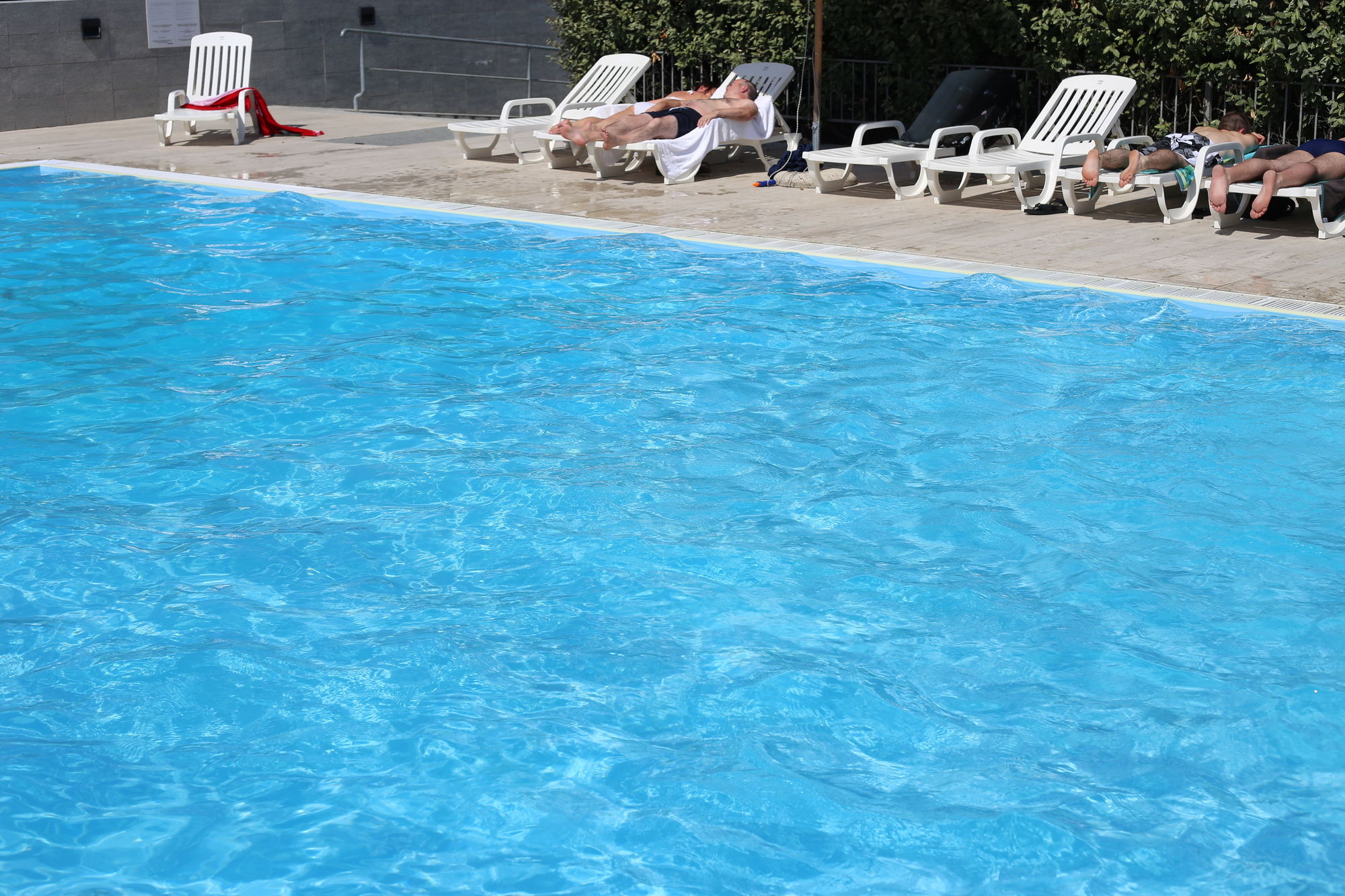 Фото Sea Lion Hotel