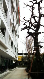 Гостиница Kavin Buri Green Hotel