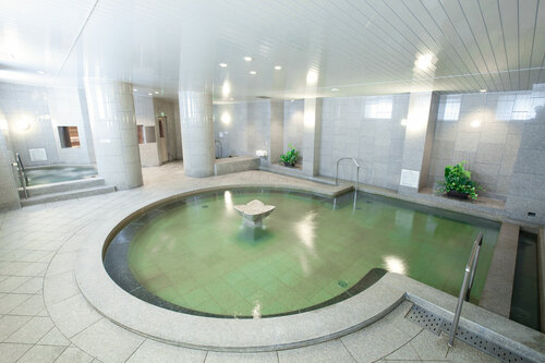 Гостиница Hotel Mystays Premier Sapporo Park в Саппоро