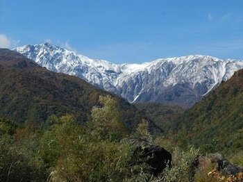 Фото Hotel Keyaki no Ki