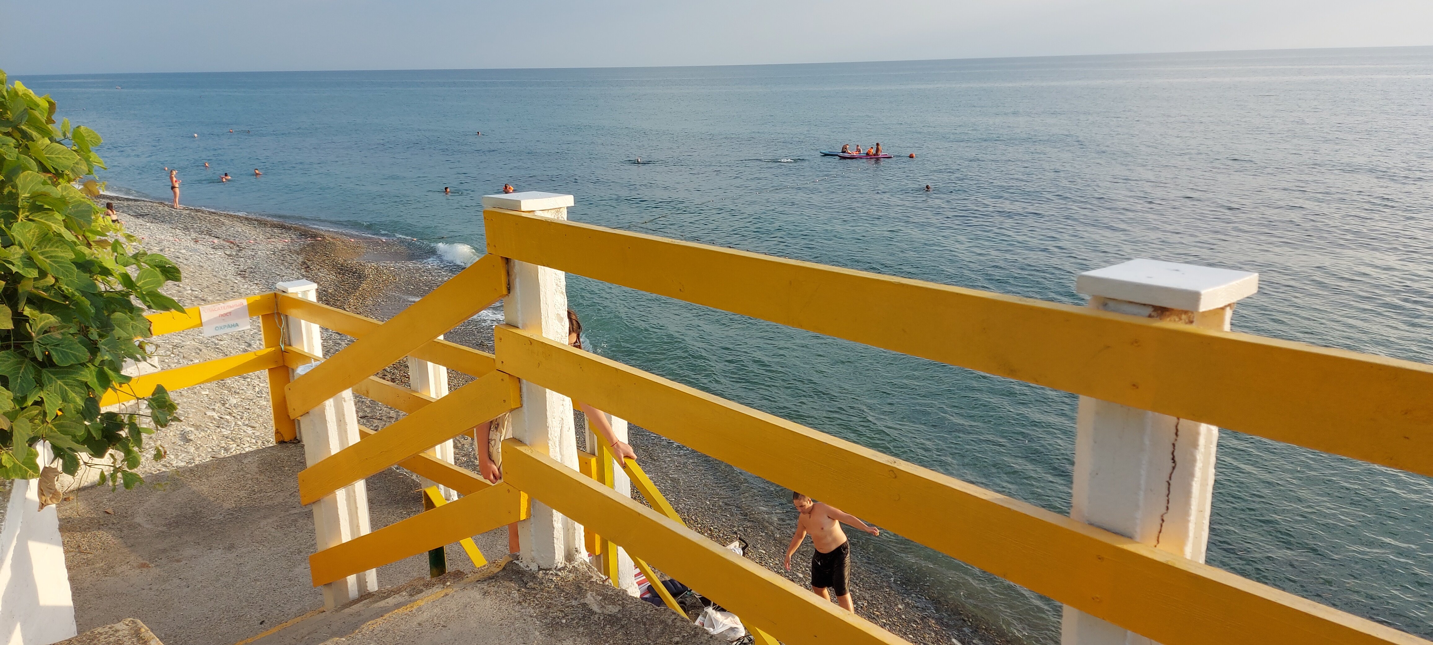 Фото Ланселот