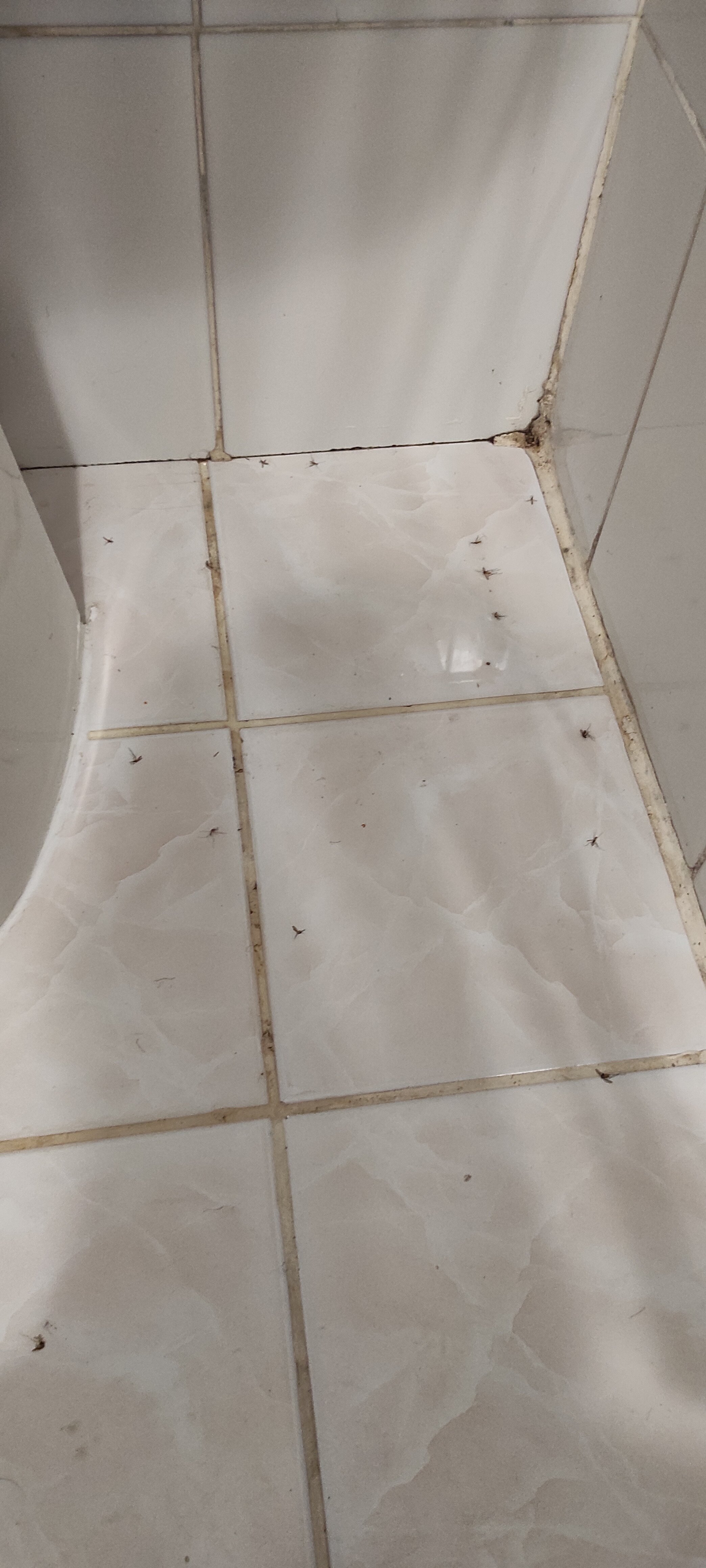 Фото Морская лагуна