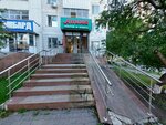 Alima (Abylai Khan Avenue, 6), grocery
