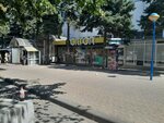 Citron (Decebal boulevard, 99), productos para teléfonos móviles