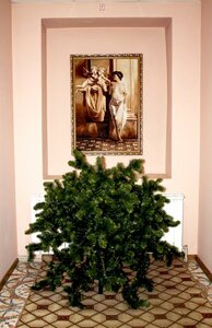 Иное жильё Зубковский