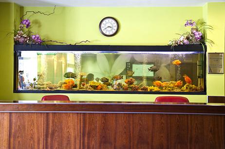 Фото Премьер