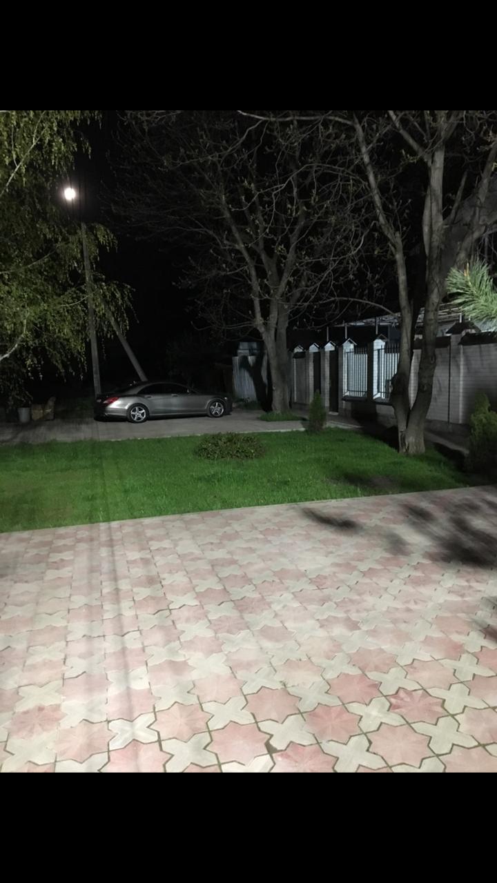 Фото Форест