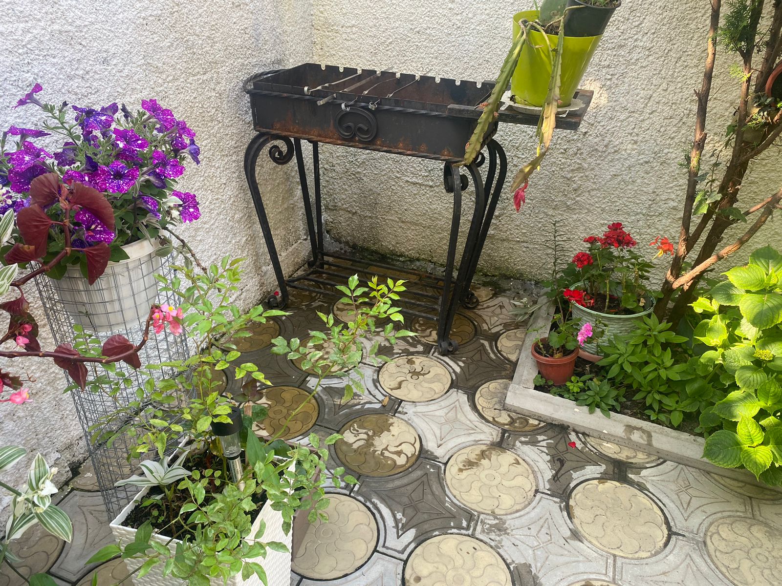 Фото Гостевой Дом Чегем