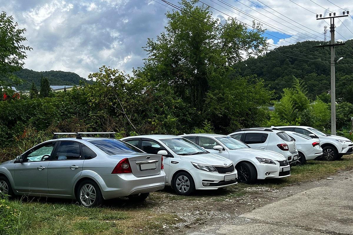 Фото Амитель