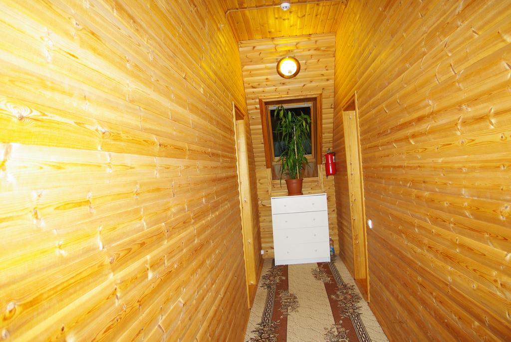 Фото Медведица