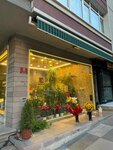 Bashkent Floriculture (Ankara Province, Cankaya District, Tunali Hilmi Avenue, 25A), floristeria
