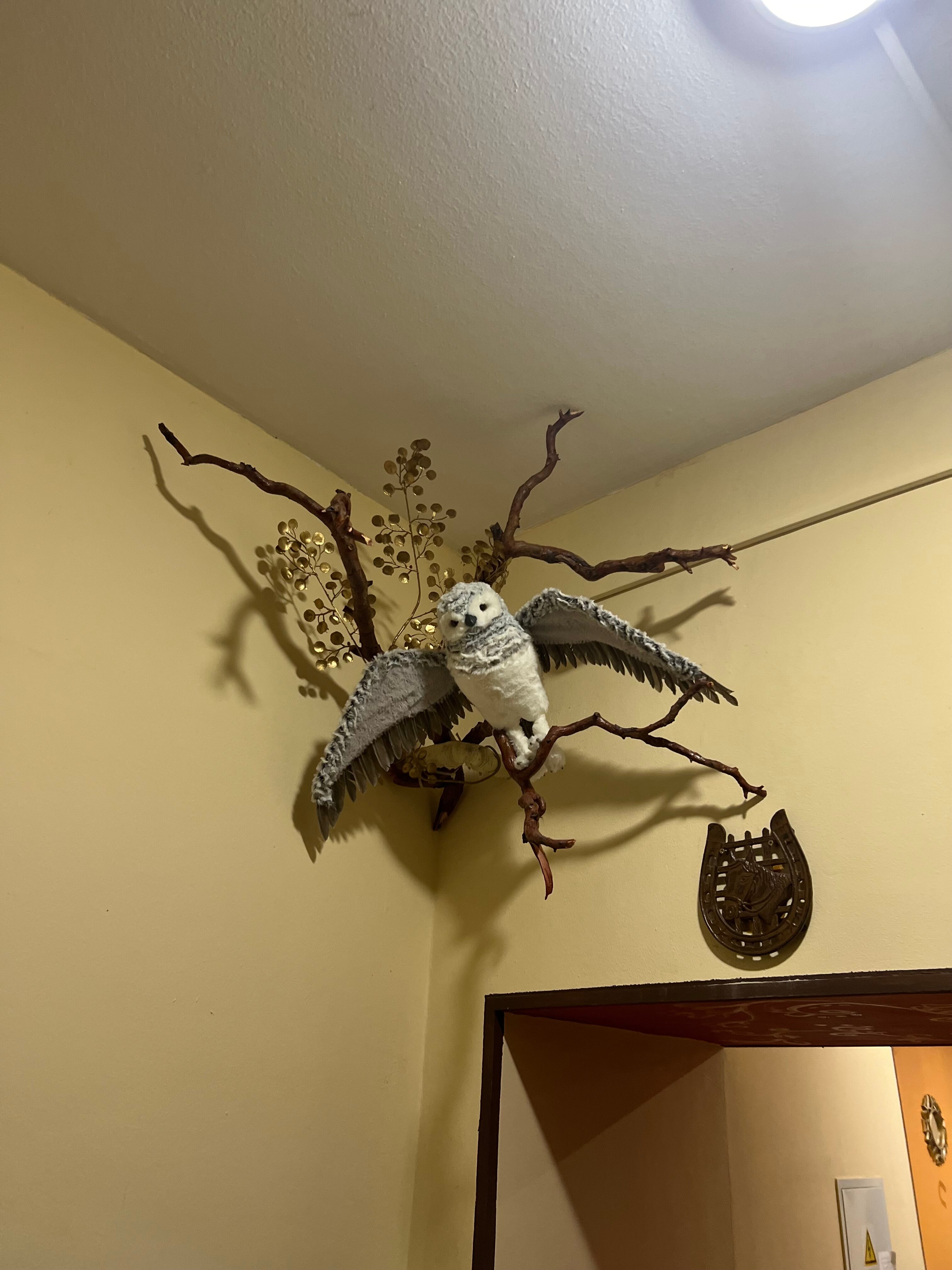 Фото Першерон