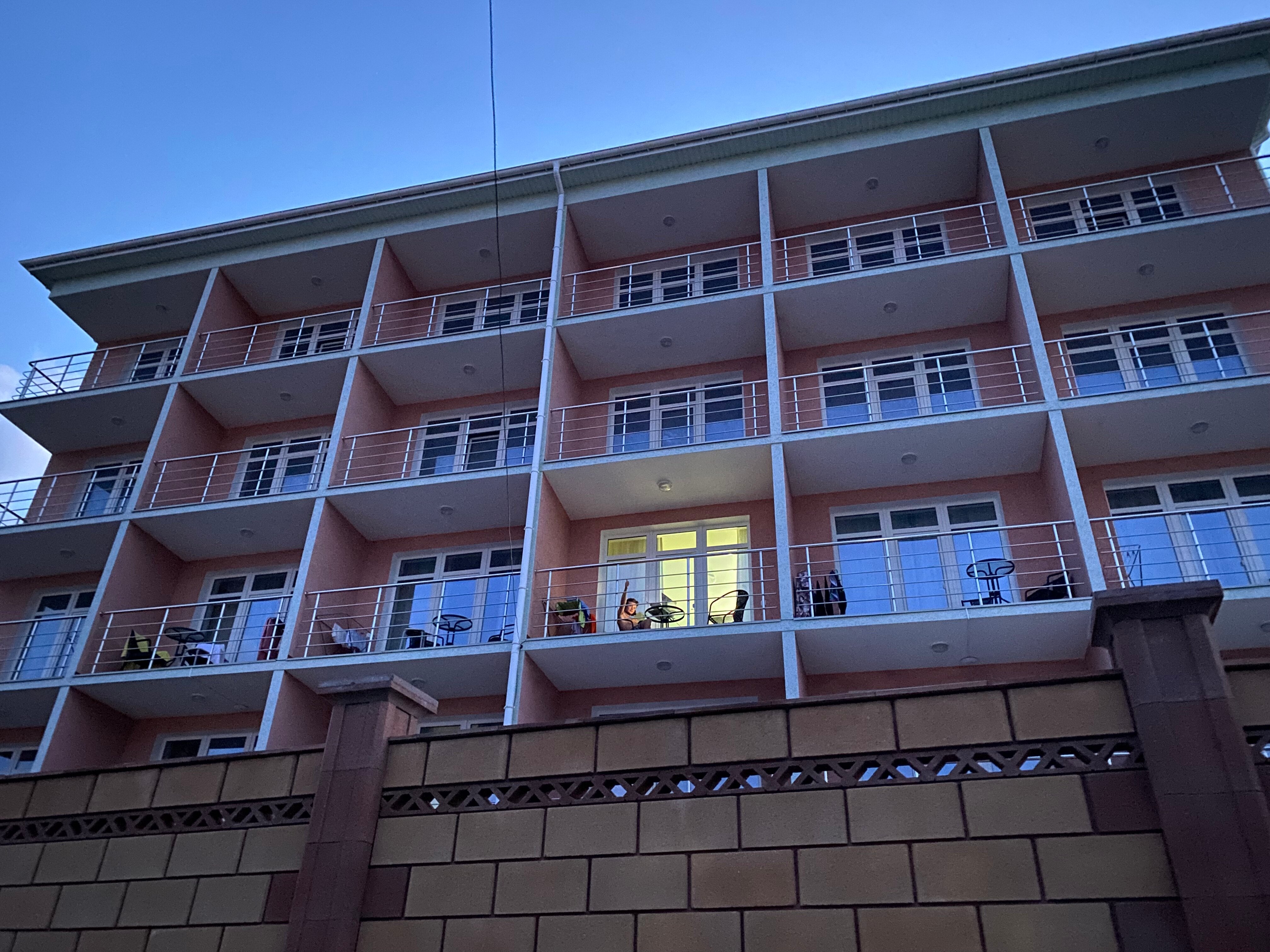 Фото Дельфин