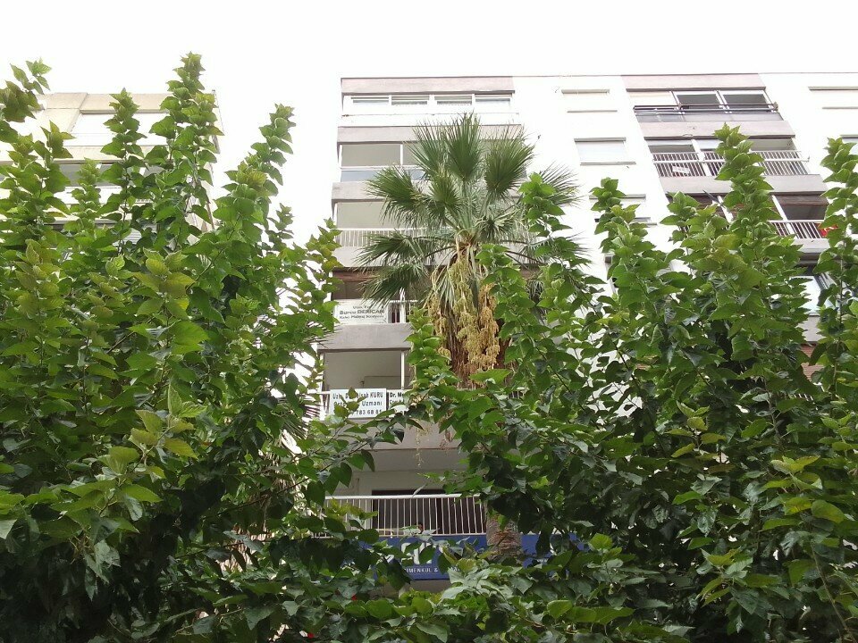 Permanent makeup studio Specialist Esthetician Burcu Derican Permanent Makeup Studio, Izmir, photo