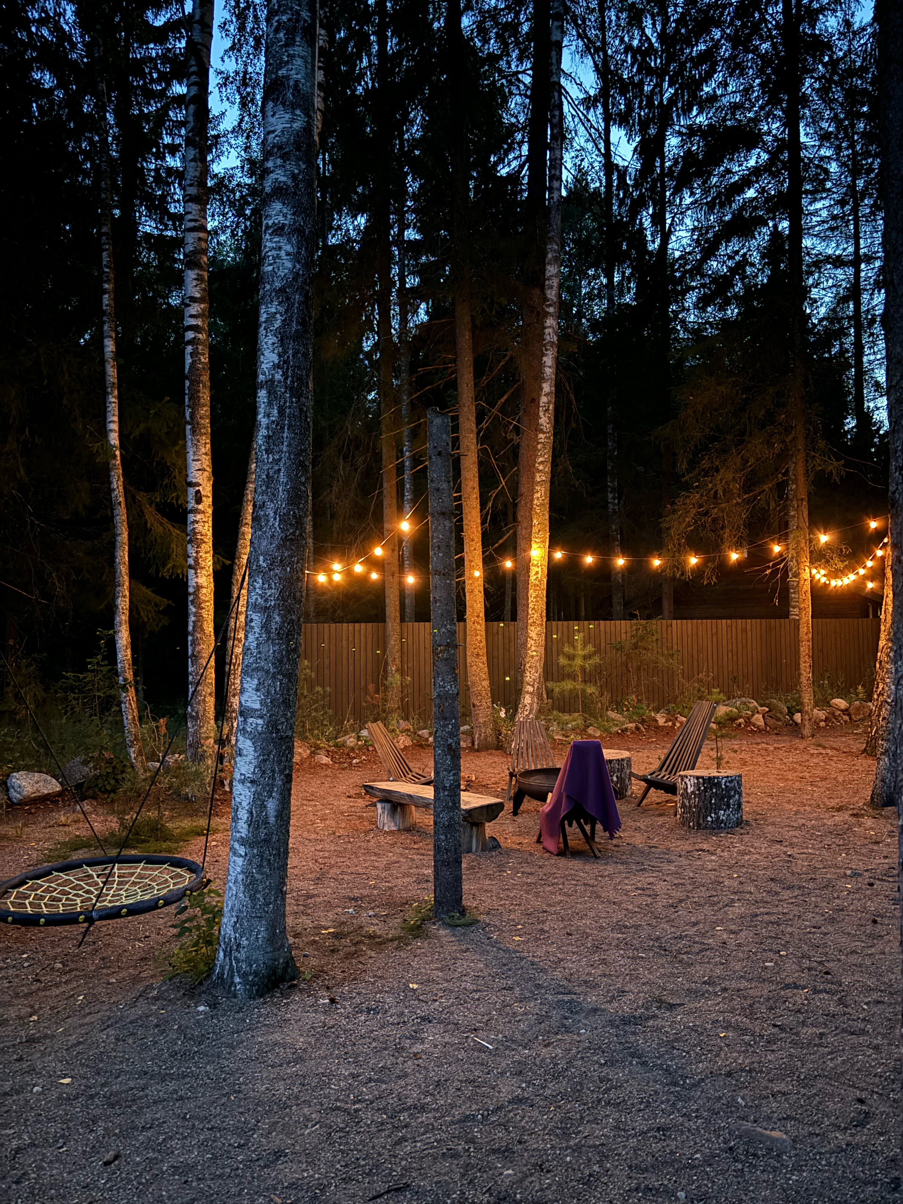 Фото Smell Of The Forest